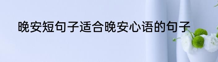 晚安短句子适合晚安心语的句子