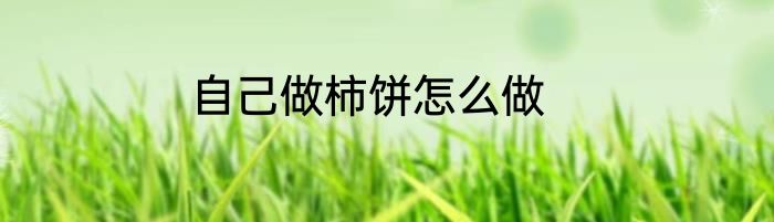 自己做柿饼怎么做