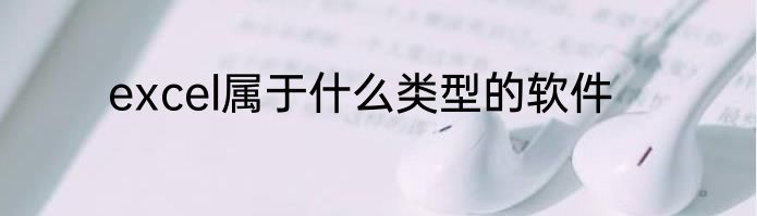 excel属于什么类型的软件