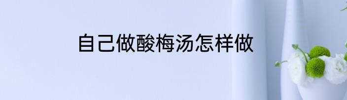 自己做酸梅汤怎样做