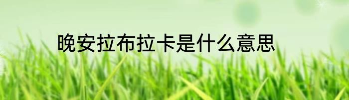 晚安拉布拉卡是什么意思