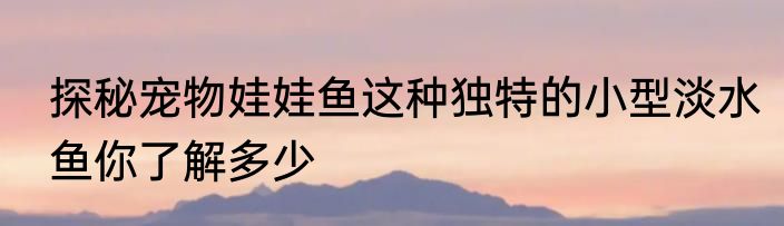 探秘宠物娃娃鱼这种独特的小型淡水鱼你了解多少