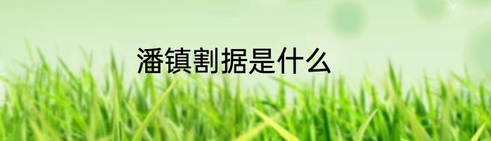 潘镇割据是什么