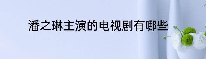 潘之琳主演的电视剧有哪些