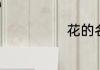 花的名称及花语