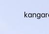 kangaroo是什么动物