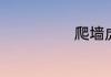 爬墙虎长什么样