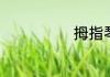 拇指琴优点介绍