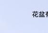 花盆有哪些种类