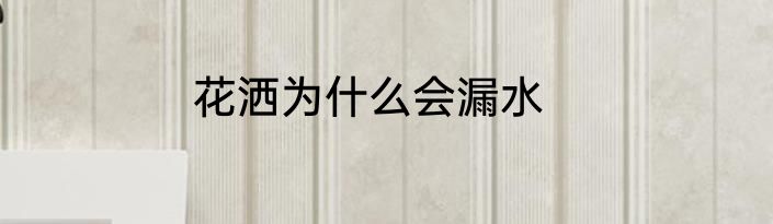 花洒为什么会漏水