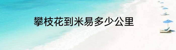攀枝花到米易多少公里