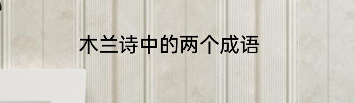 木兰诗中的两个成语