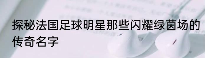 探秘法国足球明星那些闪耀绿茵场的传奇名字