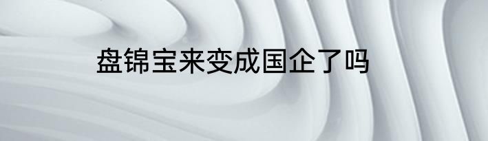 盘锦宝来变成国企了吗