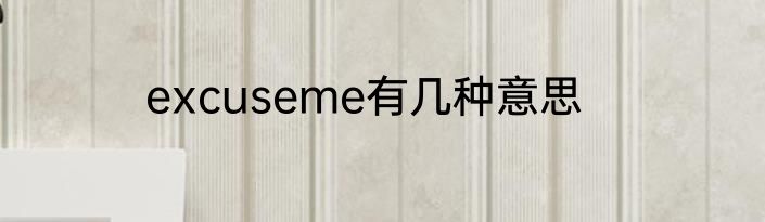 excuseme有几种意思