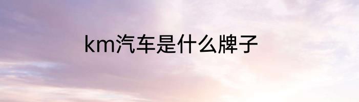 km汽车是什么牌子