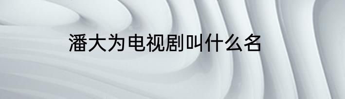 潘大为电视剧叫什么名
