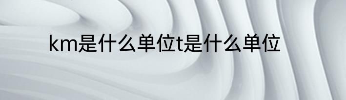 km是什么单位t是什么单位
