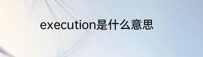 execution是什么意思