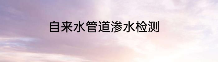自来水管道渗水检测