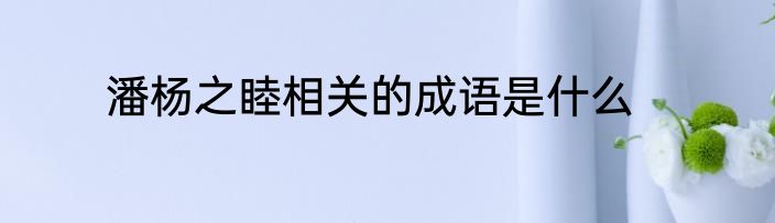 潘杨之睦相关的成语是什么