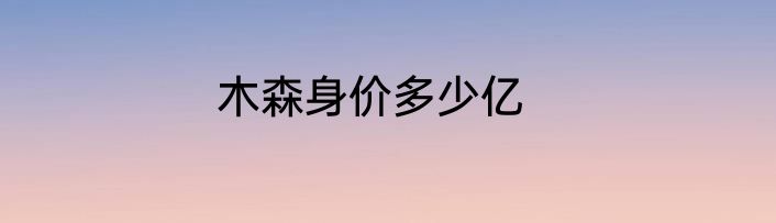 木森身价多少亿