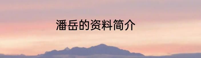 潘岳的资料简介