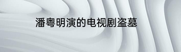 潘粤明演的电视剧盗墓
