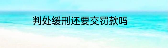 判处缓刑还要交罚款吗