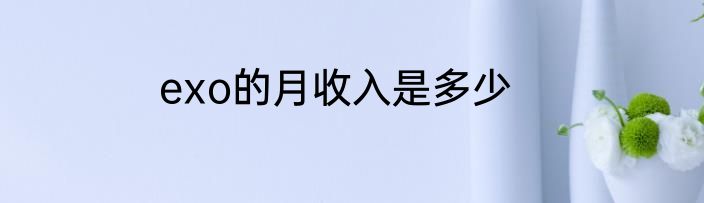 exo的月收入是多少