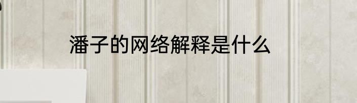 潘子的网络解释是什么