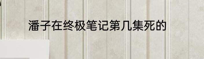潘子在终极笔记第几集死的