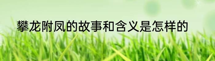 攀龙附凤的故事和含义是怎样的