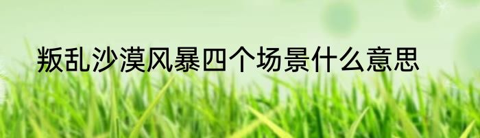 叛乱沙漠风暴四个场景什么意思