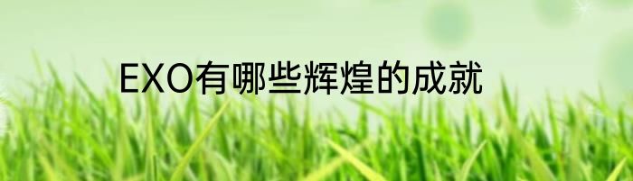 EXO有哪些辉煌的成就