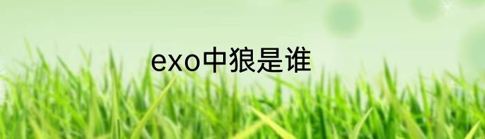 exo中狼是谁