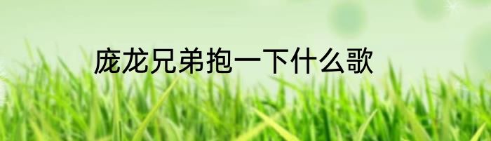 庞龙兄弟抱一下什么歌