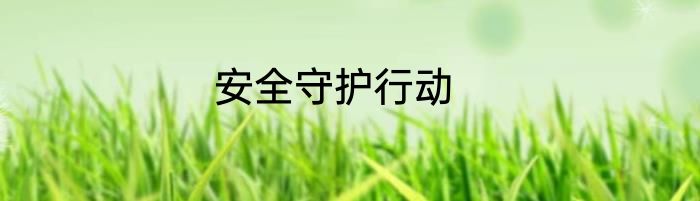 安全守护行动