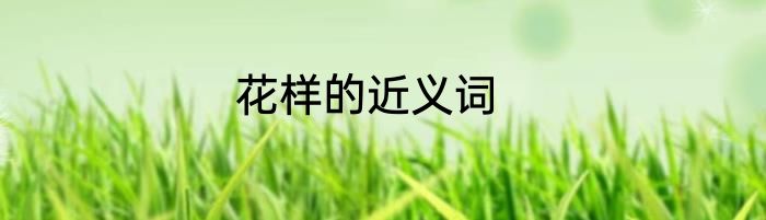 花样的近义词