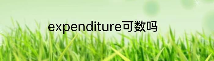 expenditure可数吗