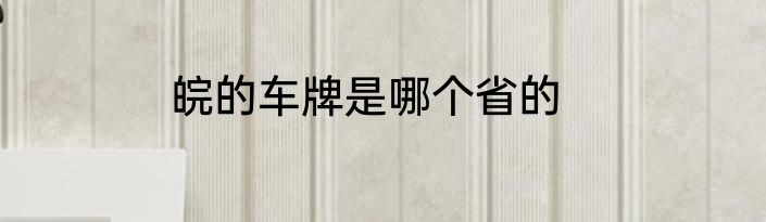 皖的车牌是哪个省的