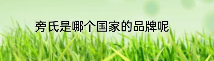 旁氏是哪个国家的品牌呢