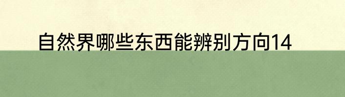 自然界哪些东西能辨别方向14