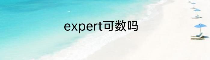 expert可数吗
