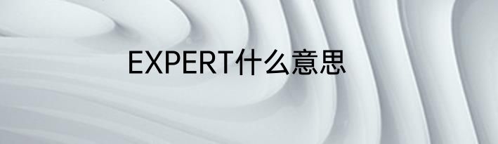 EXPERT什么意思