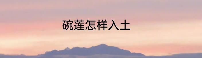碗莲怎样入土