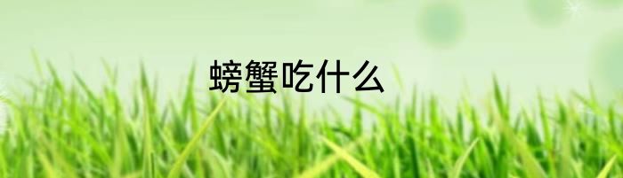 螃蟹吃什么