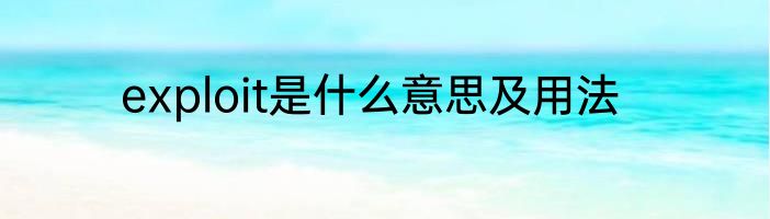 exploit是什么意思及用法