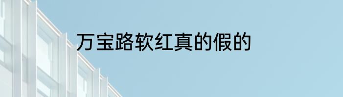 万宝路软红真的假的
