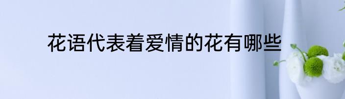 花语代表着爱情的花有哪些